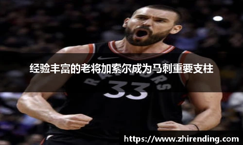 经验丰富的老将加索尔成为马刺重要支柱
